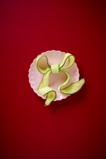 Rausva „Mynte“ lėkštė (English Rose) - Image 8