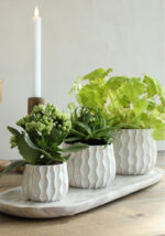 Vazonėlis "Banga" - Image 3